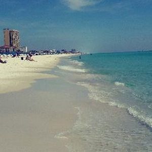 Meet your Posher, Wicked